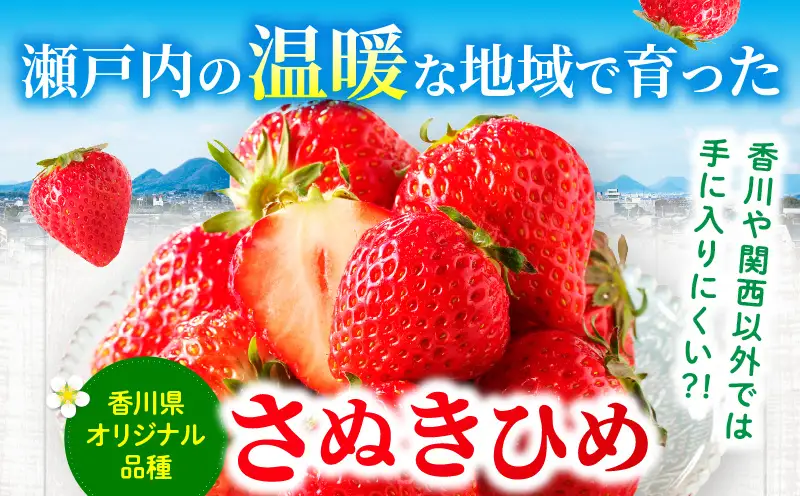 【先行予約】【期間限定】可愛い丸々小粒さぬきひめいちご　約1kg | スイーツ いちご ストロベリー さぬきひめ 苺 冷蔵 フルーツ 旬 果物 青果 青果物 お裾分け ギフト 香川県 デザート 青果物 先行予約 季節限定 旬 おすすめ 三木町 |_mk006-139