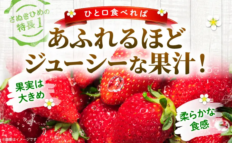 【先行予約】【食べきりサイズ】さぬきひめいちごDXパック　約500g | スイーツ いちご ストロベリー さぬきひめ 苺 冷蔵 フルーツ 旬 果物 青果 青果物 お裾分け ギフト 香川県 デザート 青果物 先行予約 季節限定 旬 おすすめ 三木町 |_mk006-141