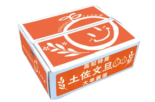 文旦 家庭用 7kg (3.5kg×2箱) 土佐文旦