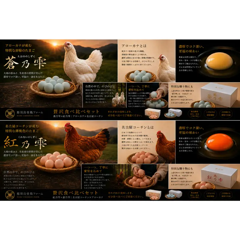 【定期便 2ヵ月毎 全3回】贅沢食べ比べセット（紅乃雫×蒼乃雫／名古屋コーチン×アローカナ） 【ns150-003】