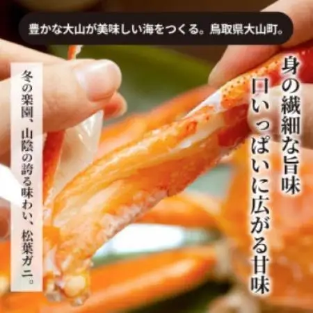 【11月中旬以降順次発送】[冷凍]訳あり松葉ガニ約2kg詰め合わせ　 OM-13-1【配送不可地域：離島】【1745616】