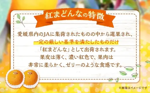 紅まどんな 約2.5kg みかん ミカン くだもの 果物 フルーツ 柑橘 柑橘系 柑橘類 果実 果汁 果肉 国産 【 2026年11月下旬～12月下旬発送予定 】 ( 1120 )