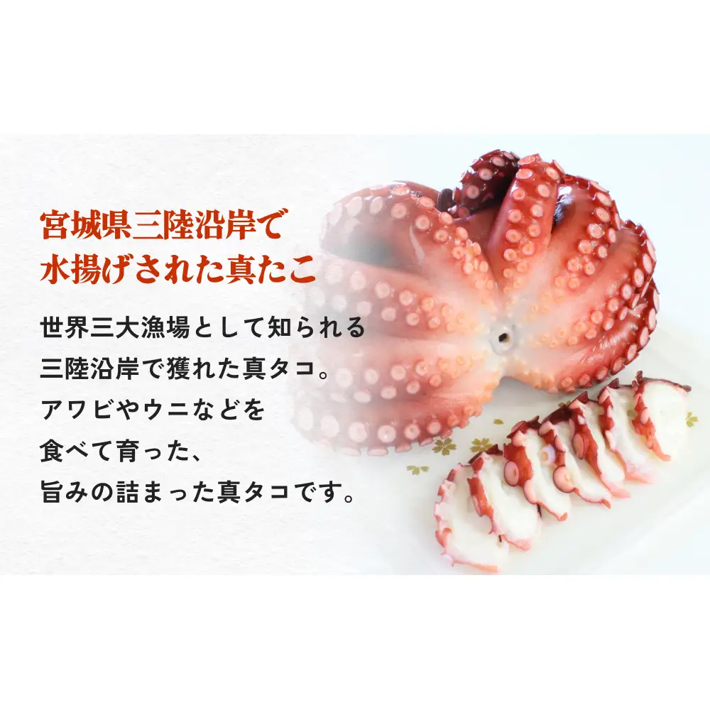真たこ ボイル  約 1.5kg 蛸 たこ タコ ボイル済み 冷凍 小分け CAS凍結 海鮮 魚介類