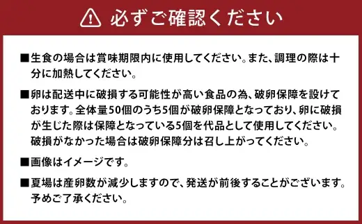 有精卵 50個入り ( 破卵保障 5個含む ) 卵 たまご タマゴ 玉子 卵かけご飯 TGK 鶏卵 鶏 ニワトリ 卵料理 低コレステロール 冷蔵