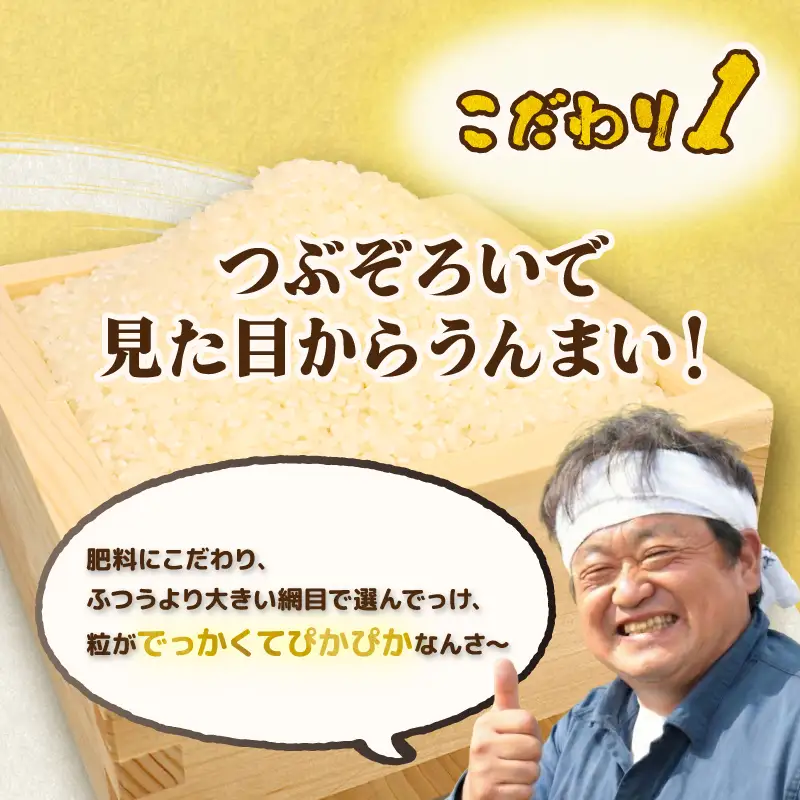 【新米予約】 プレミアム コシヒカリ 10kg（5kg×2袋） 令和8年産 特別栽培米 こしひかり プレミアムコシヒカリ 精米 白米 ご飯 おにぎり 弁当 新潟県産 新発田産 菅谷産 新潟 米 お米 こめ 居城農園 菅谷 新潟県 新発田市 D79_202610_01