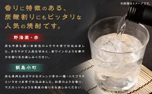 【鹿児島の本格焼酎】 野海棠 赤・甑島小町 【香り高い】 720ml×2本セット 25度 祁答院蒸溜所 芋焼酎 芋 焼酎 お酒 本格焼酎 AS-7123