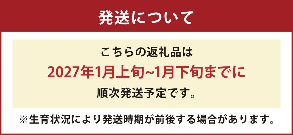 JA北さつまの鹿児島県産きんかん【いりき】（A3Lサイズ・約3kg 平箱入） 金柑 フルーツ 果物 【2027年1月上旬から1月下旬発送】 BS-0122