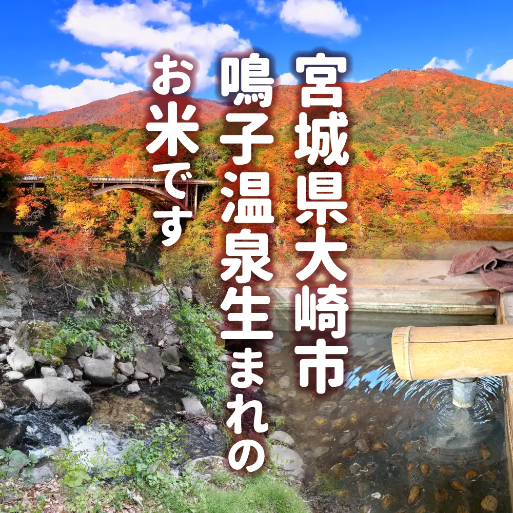 ゆきむすび 5kg 宮城県大崎市産 ゆきむすび | sg001-5kg-r7