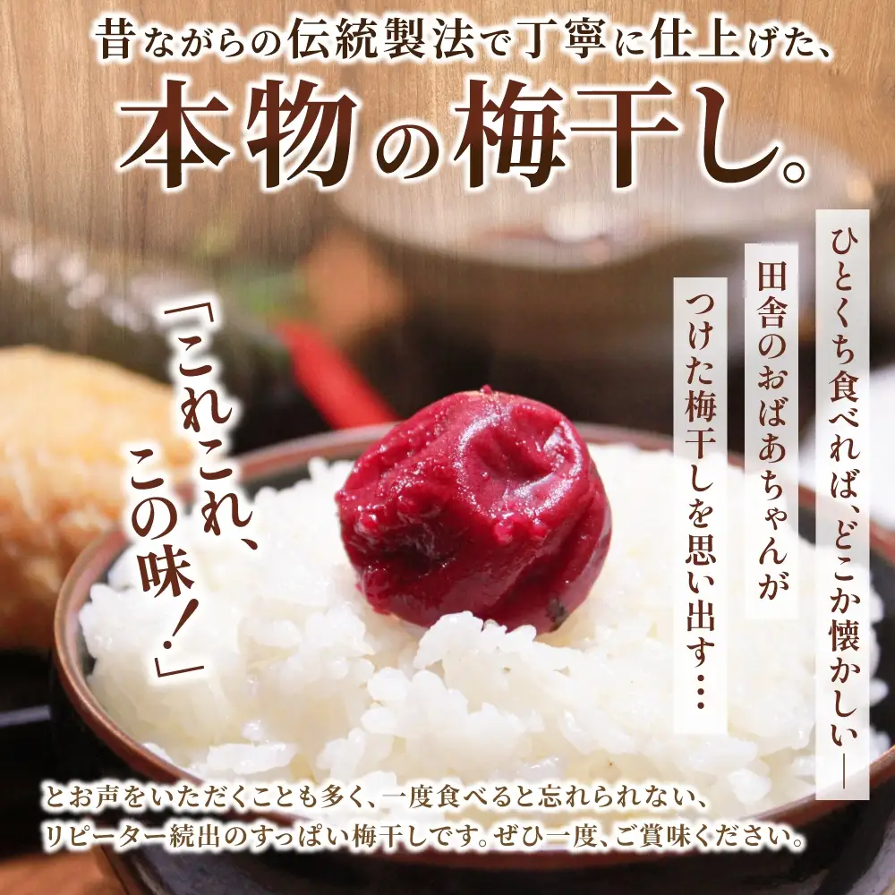 梅干し 無添加 南高梅 小分けタイプ 昔ながらのすっぱい しそ漬け梅干し 500g (100g×5P) 【frsn0031A】