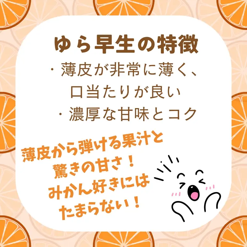 ゆら早生 5kg 〈出荷時期：2026年11月１日出荷開始～2026年11月30日出荷終了〉｜みかん フルーツ 果物 くだもの  神奈川県 南足柄市