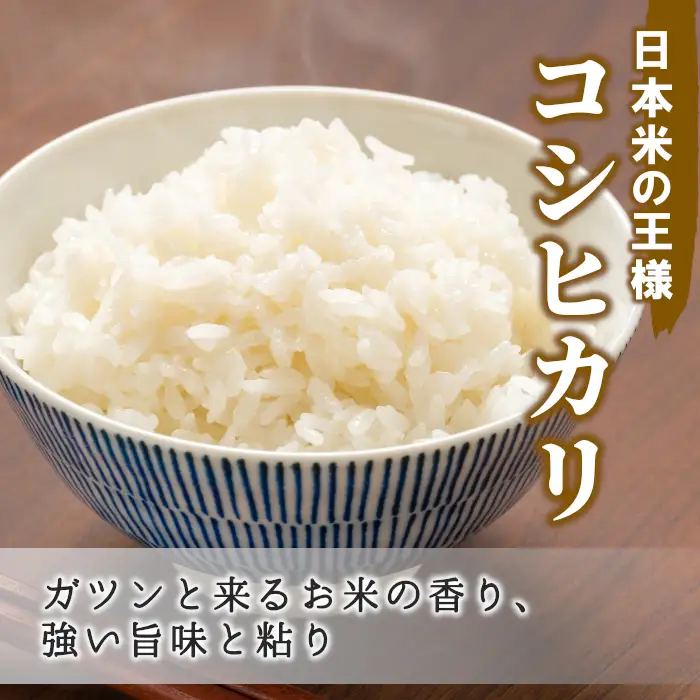 令和7年産 コシヒカリ 米 5kg 白米 精米 東白川村産 岐阜県 お米 こめ 精米 ご飯 米 おにぎり
