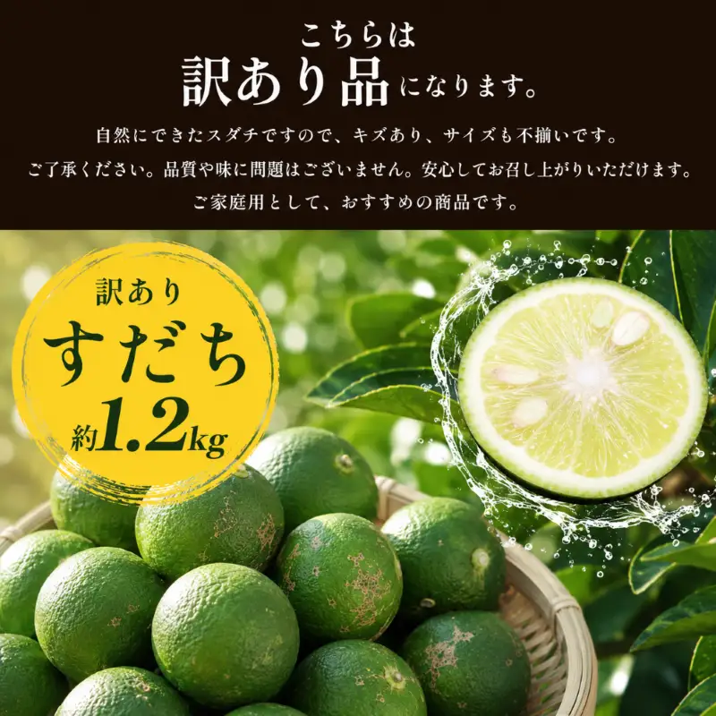 訳あり すだち 1.2kg スダチ 家庭用 【 すだち 】