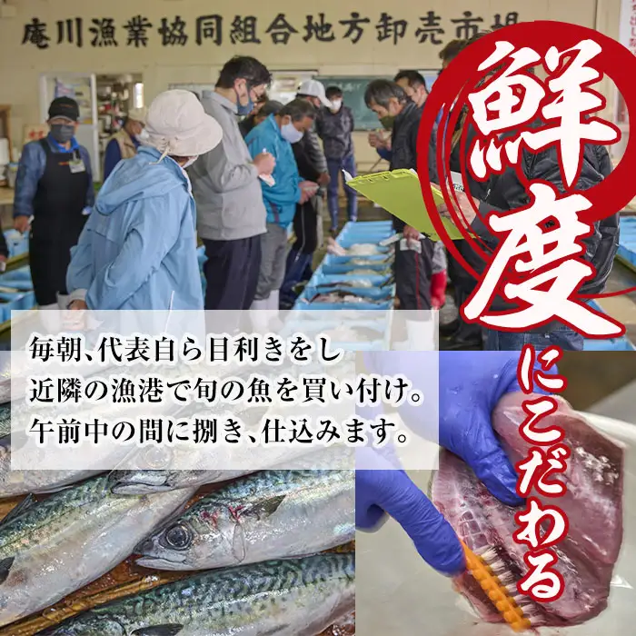 【定期便・全3回】朝獲れ鮮魚で作る！魚屋さんの 自家製 ソフト 干物(合計1kg以上・5～10枚×3回)アジ イワシ カマス イカ タイ ブリカマ セット 詰め合わせ ひもの 焼き魚 おかず お惣菜【YS-9】【株式会社安田】 [YS-9]