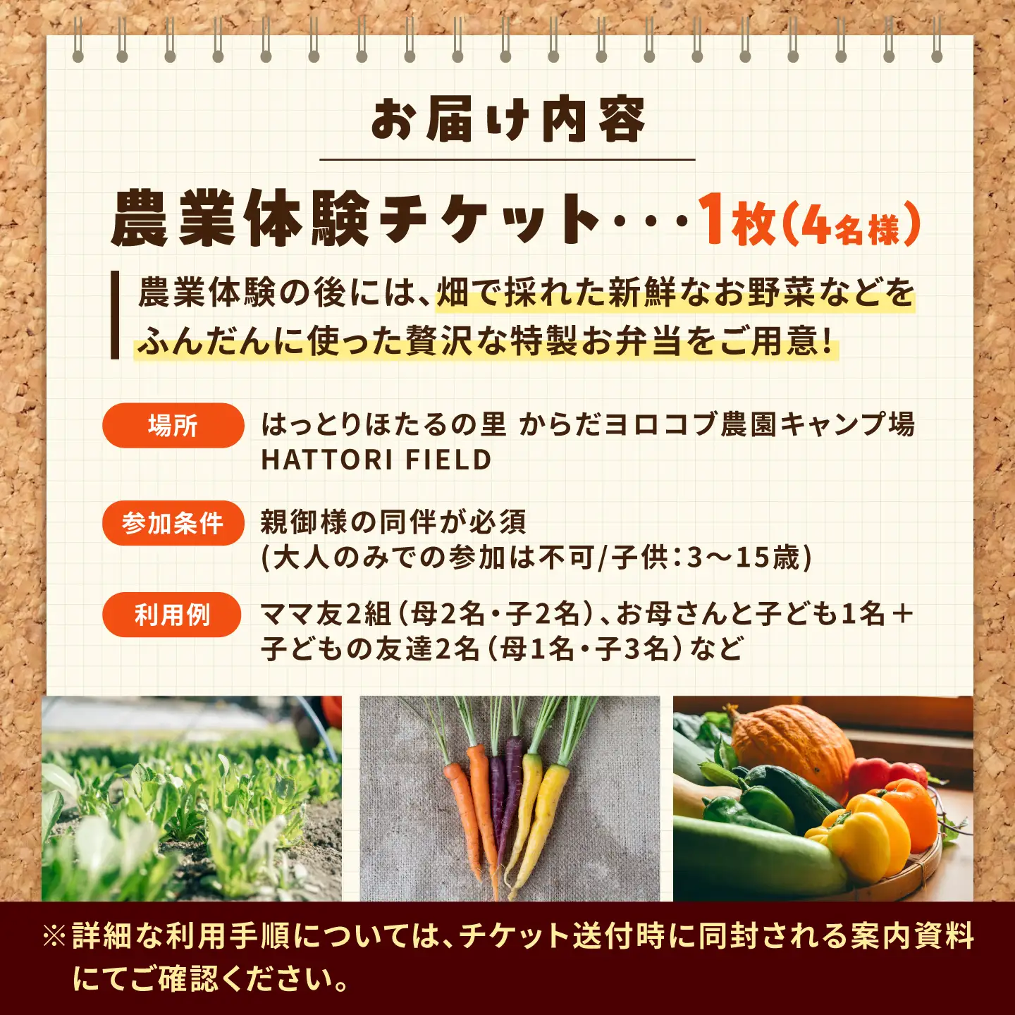 体験 HATTORI FIELD -ハットリフィールド- 親子で楽しむ農業体験4名様（お食事付）[BAHK004] 体験