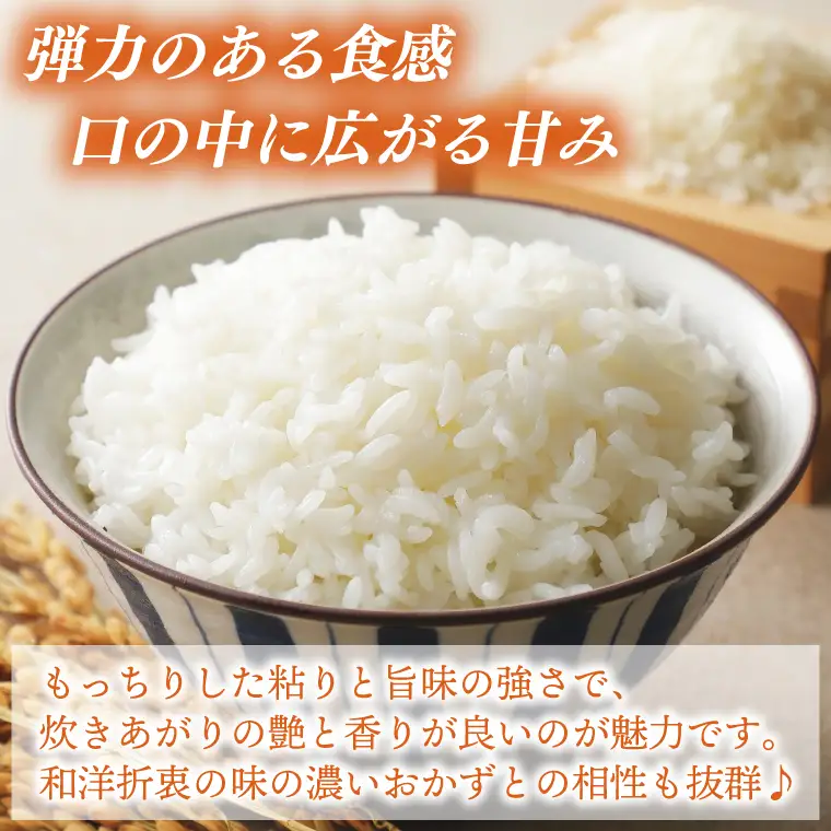 【食べ比べセット】山﨑観光農園のお米 10㎏ コシヒカリ×ゆうだい21 （AU055）