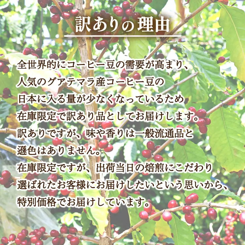 【豆】 訳あり コーヒー豆 400g グアテマラ コーヒー EW