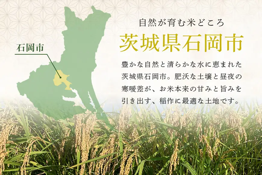 【令和8年産】獅子米　いのちの壱（精米）10kg　B02-098