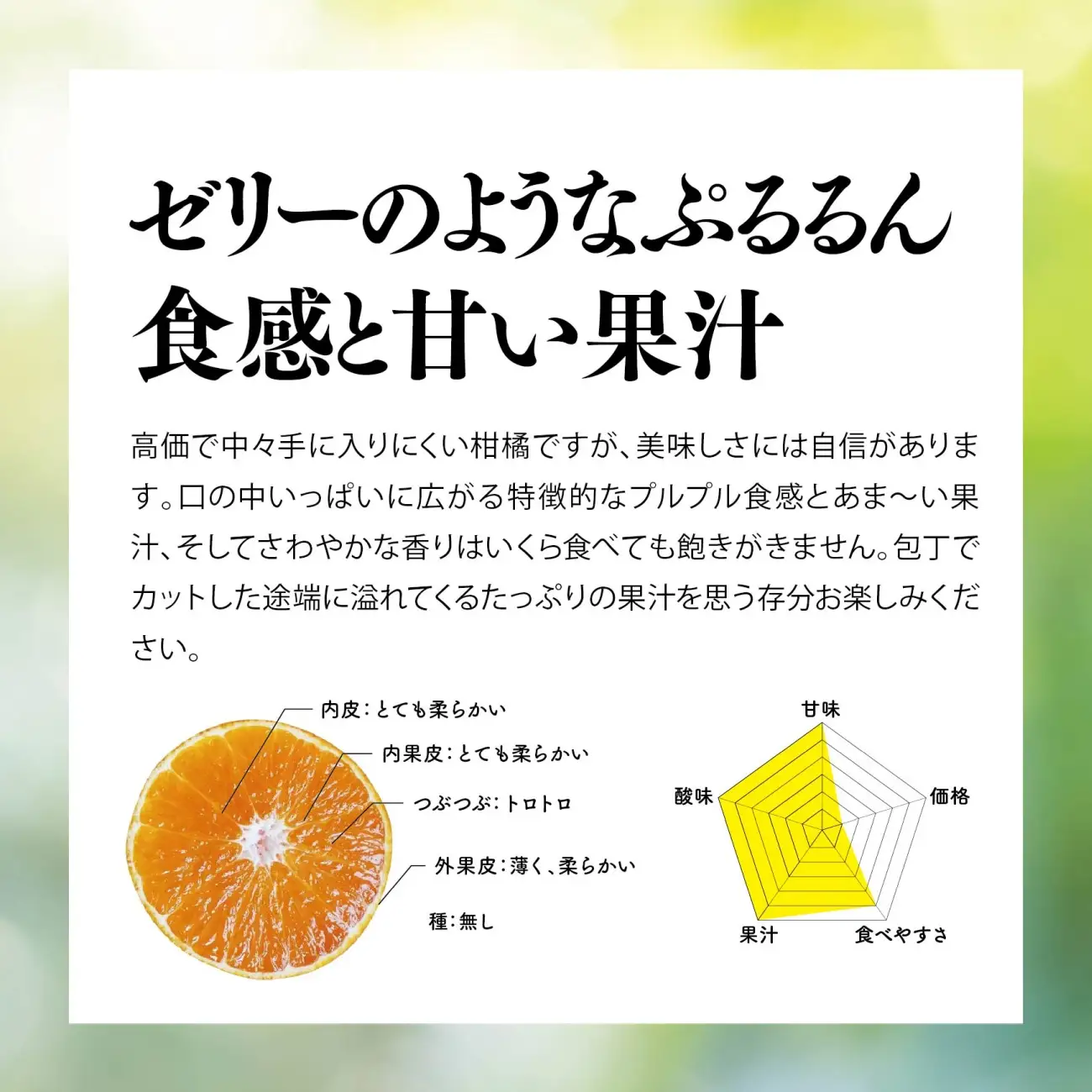 【先行受付】天空の果樹園から届く そらまどんな(3.5kg)【95-20】【1757716】YWTAQ012