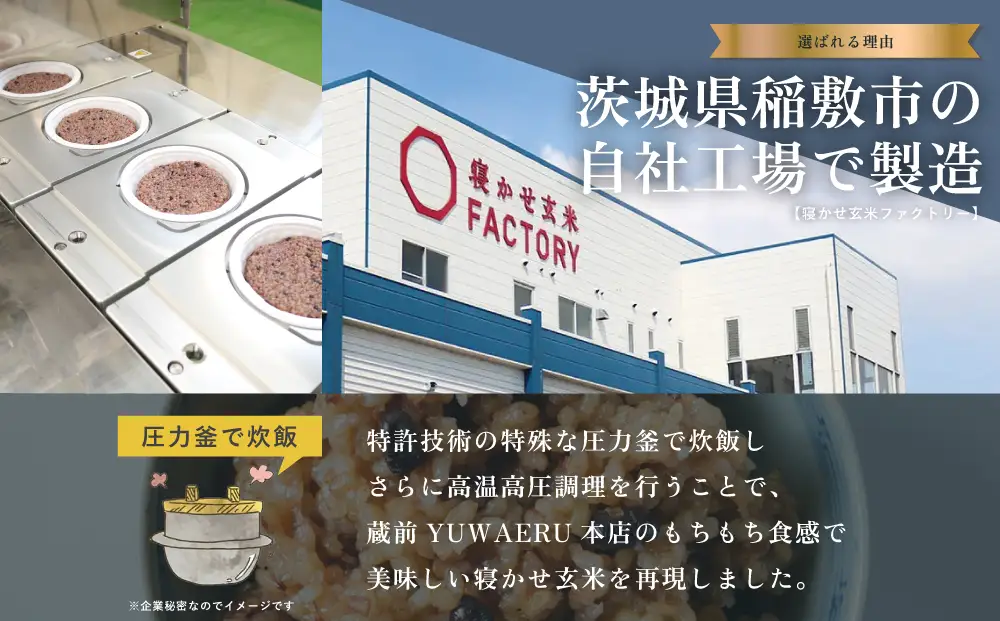 寝かせ玄米ごはんパック ゆめぴりか100%【160g×24食】 [2277]
