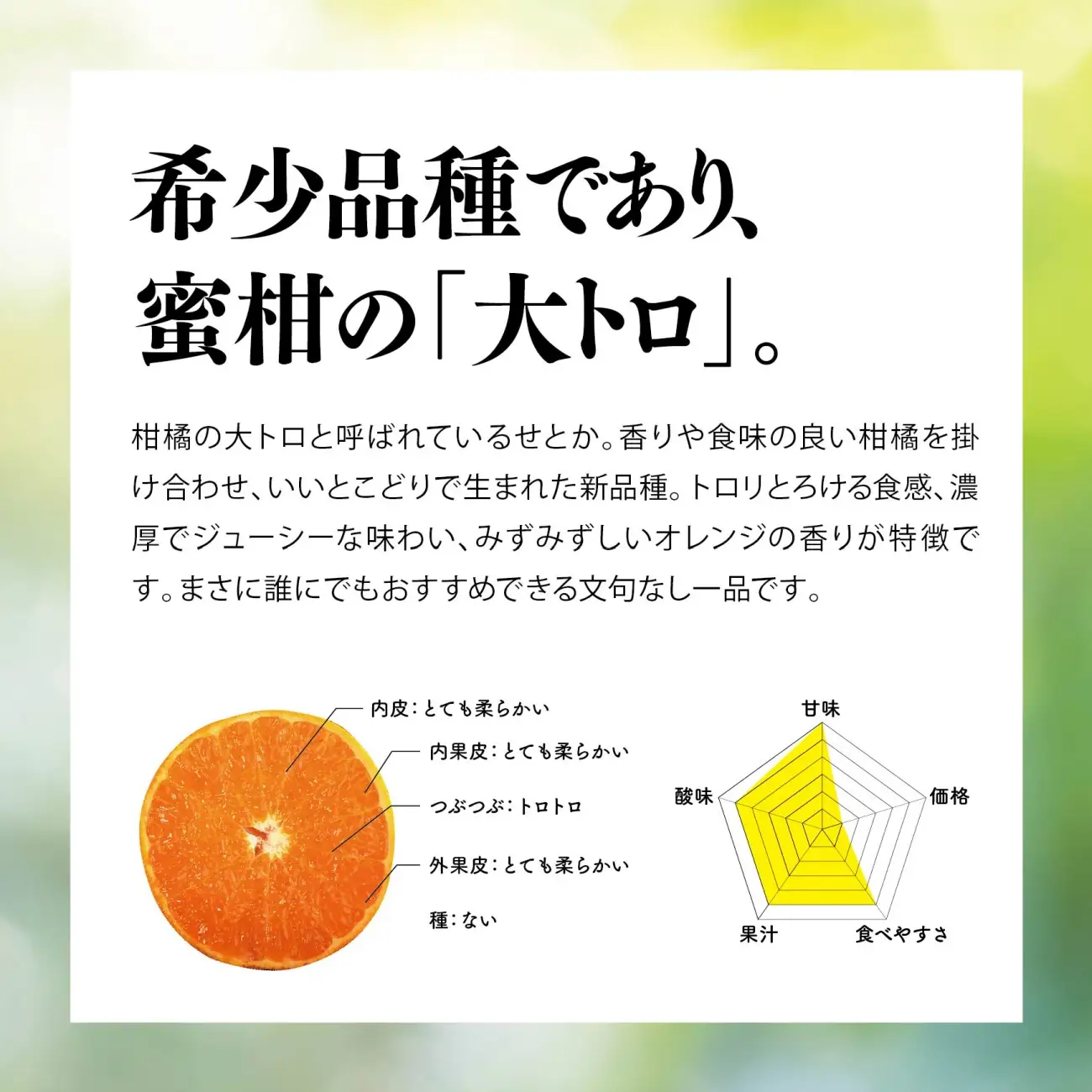 【先行受付】天空の果樹園から届く そらせとか (3kg)【95-19】【1757720】YWTAQ014