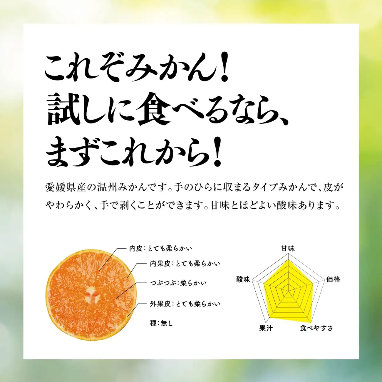 【先行受付】天空の果樹園から届くそらみかん (5.5kg)【95-17】【1758584】YWTAQ016