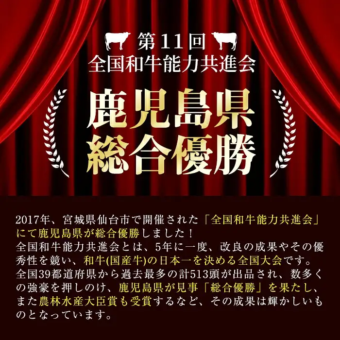 鹿児島県産 黒毛和牛を使った肉屋の贅沢合挽き生ハンバーグ 20個(計2.2kg以上) 肉加工品 ハンバーグ あいびきハンバーグ 合い挽き 110g おかず 惣菜 お弁当 煮込み 冷凍 国産 鹿児島産 a4-119