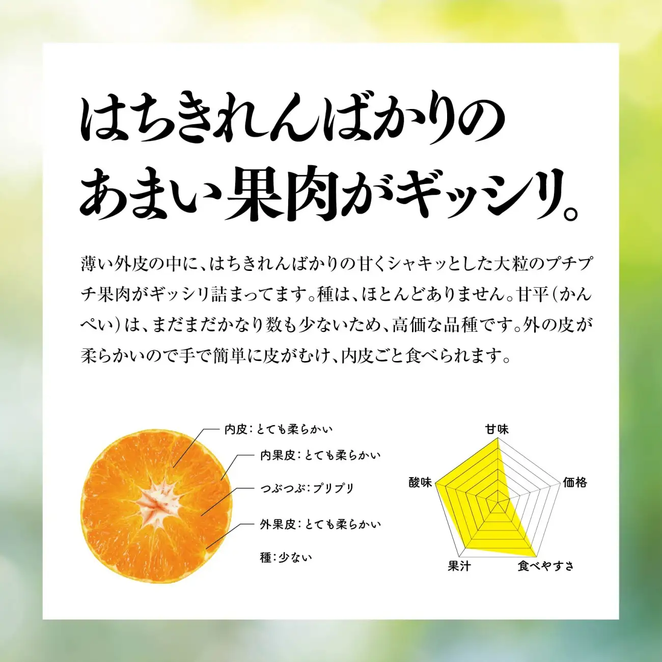 【先行受付】天空の果樹園から届く そら甘平 (3.5kg)【95-16】【1757733】YWTAQ020