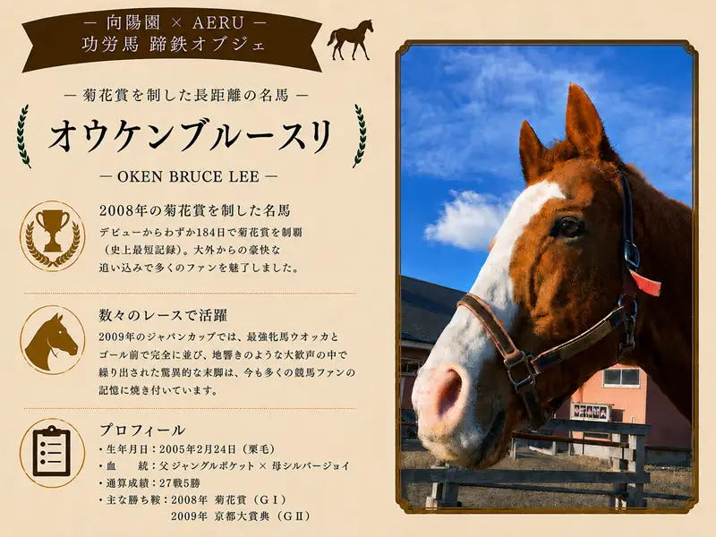 向陽園×AERU 功労馬「オウケンブルースリ」蹄鉄オブジェ[35-1639]
