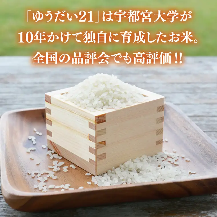 ＼先行予約・山﨑観光農園のお米／　ゆうだい21　白米10kg（AU048）