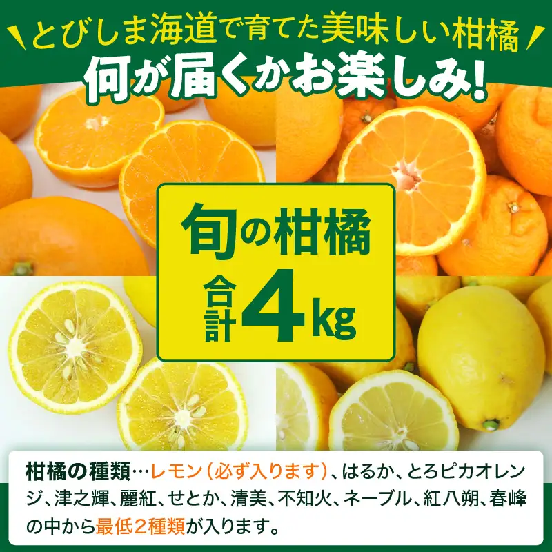 先行受付【2027年3月中旬～発送】とびしま海道の旬の柑橘4キロ詰め合わせ 