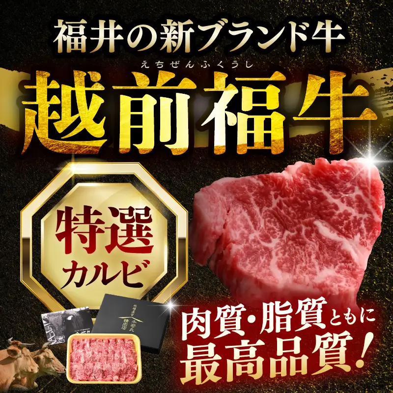 希少 越前福牛 特選カルビ 焼肉用 500g 牛肉 国産和牛 カルビ 冷凍 贈答 ギフト [B-1806] 