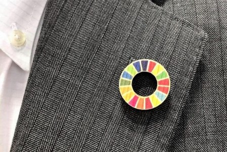 【小国町森林組合】阿蘇小国杉 SDGs ピンバッジ マグネット 計4個 小国杉 天然木 国産材 阿蘇 熊本 木製 サスティナブル アイコン 贈り物 ギフト プレゼント ノベルティにおすすめ 阿蘇小国杉のくらし