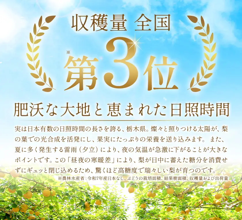 【2ヶ月定期便】先行予約 訳あり 旬の梨 計8kg 約4kg×2回 幸水 豊水 あきづき 新高 にっこり