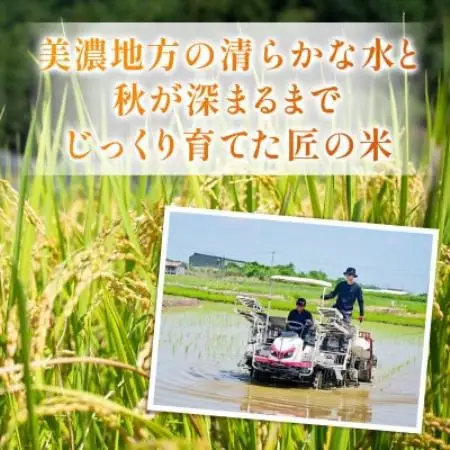 【先行予約】令和8年産　岐阜県産ハツシモ(玄米)30kg【1757845】