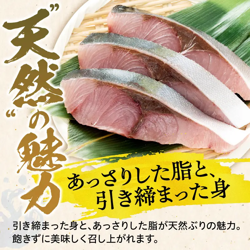 北海道産 天然 ぶり 切身 10切