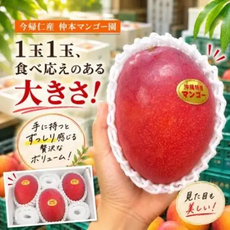 【2027年7月上旬から順次発送・贈答用】仲本マンゴー園の大玉アーウィンマンゴー2kg(3玉)【配送不可地域：離島】【1762588】