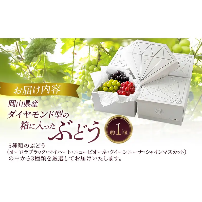 岡山県産 ダイヤモンド型の箱に入ったぶどう 厳選3種 約1kg 葡萄 ブドウ 岡山県産 オーロラブラック マイハート ニューピオーネ クイーンニーナ シャインマスカット 数量限定
