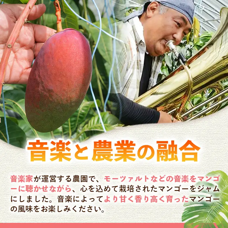 【モーツァルトを聞かせて育てた】マンゴージャム 1個(170g)【国産 マンゴー ジャム フルーツジャム 瓶 南国 フルーツ 旬 果物 人気 オガタファーム 福岡県 筑前町 OF003】