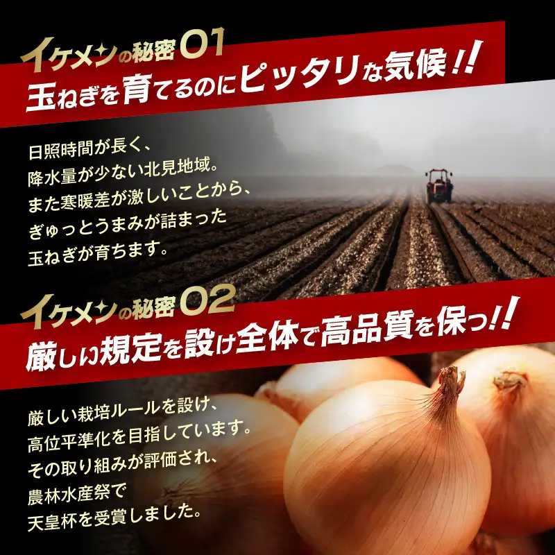 【予約：2027年4月～6月発送】JAきたみらい産 玉ねぎ Lサイズ 10kg 冷蔵 ( タマネギ たまねぎ 野菜 )【210-0005】