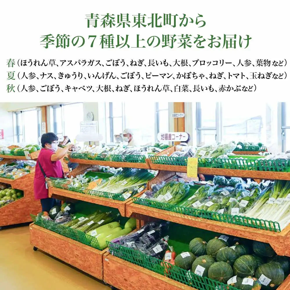 野菜詰め合わせセット（春、夏、秋）　【02408-0134】