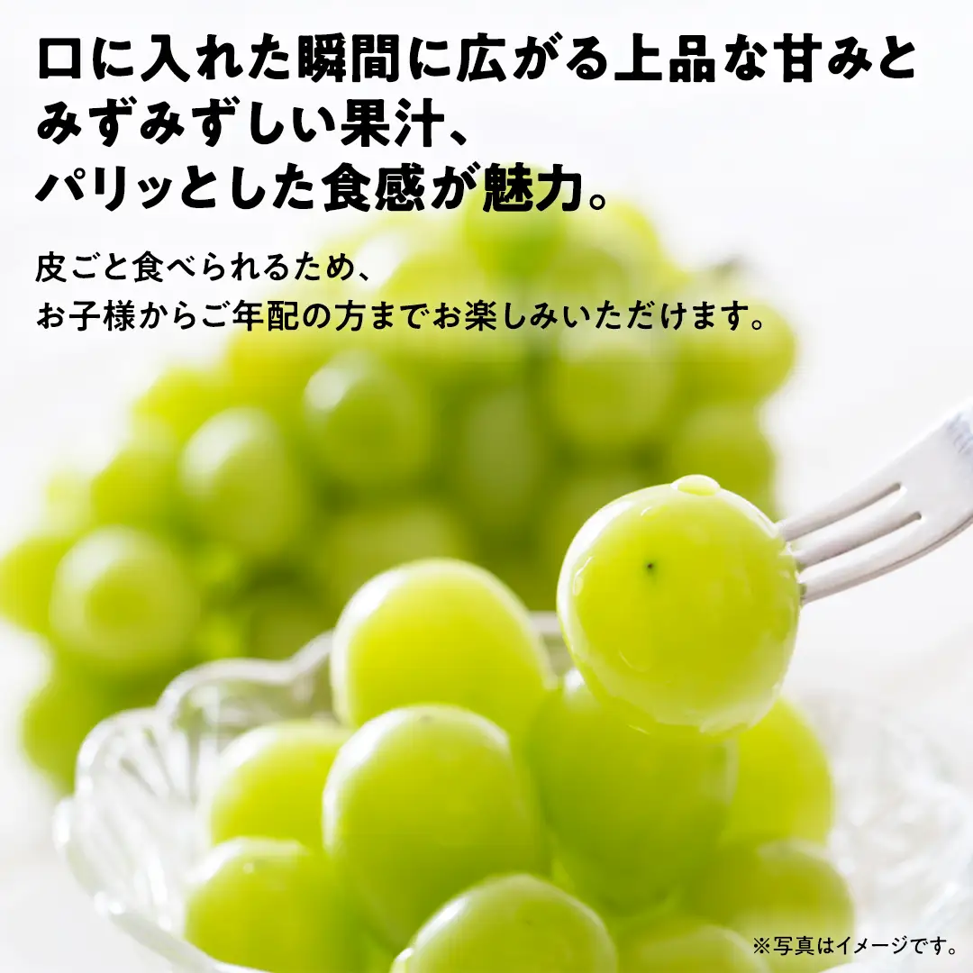【 先行予約 ・ 数量/期間限定 】 シャインマスカット 3～4房（約2kg ）