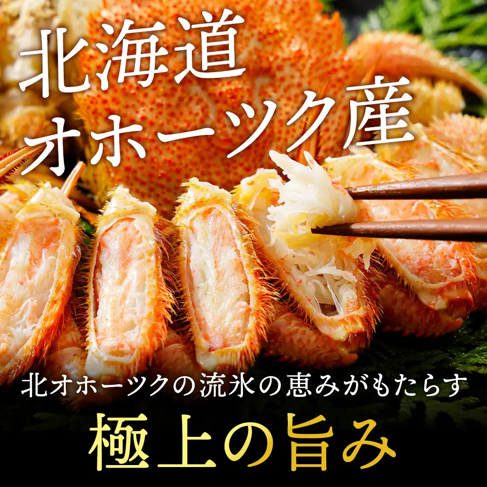 ボイル毛ガニ 500g ２尾
