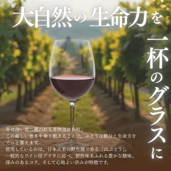 「満吉 2025」(750ml)  2本【ドメーヌ満吉】 日本ワイン 赤ワイン 山ぶどう 果実味 濃い 凝縮感 酸味 渋味 北海道 比布町 ぴっぷ 1030-002