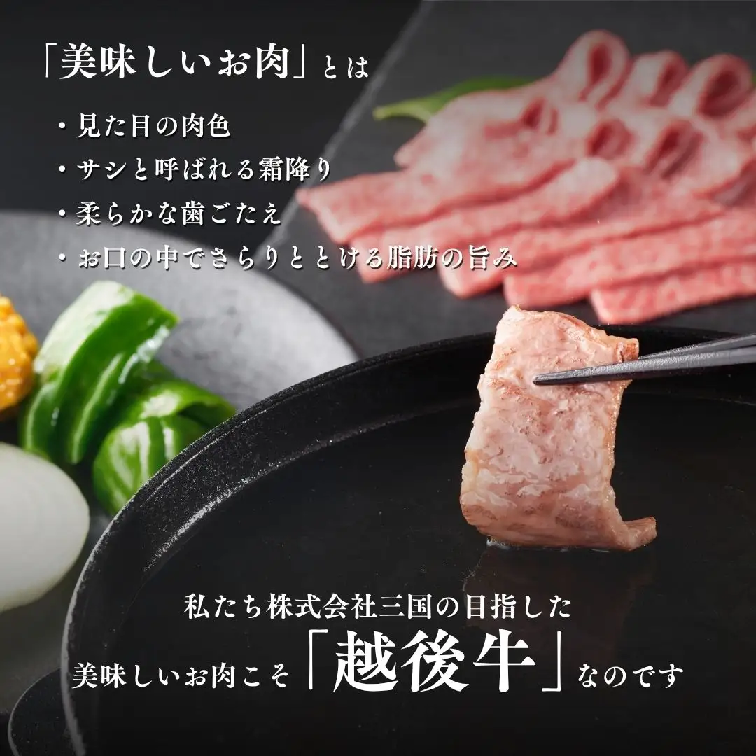 越後牛 三角バラ焼肉 600g (300グラム×2パック) 三国 | 冷凍 焼き肉 新潟県 小千谷市