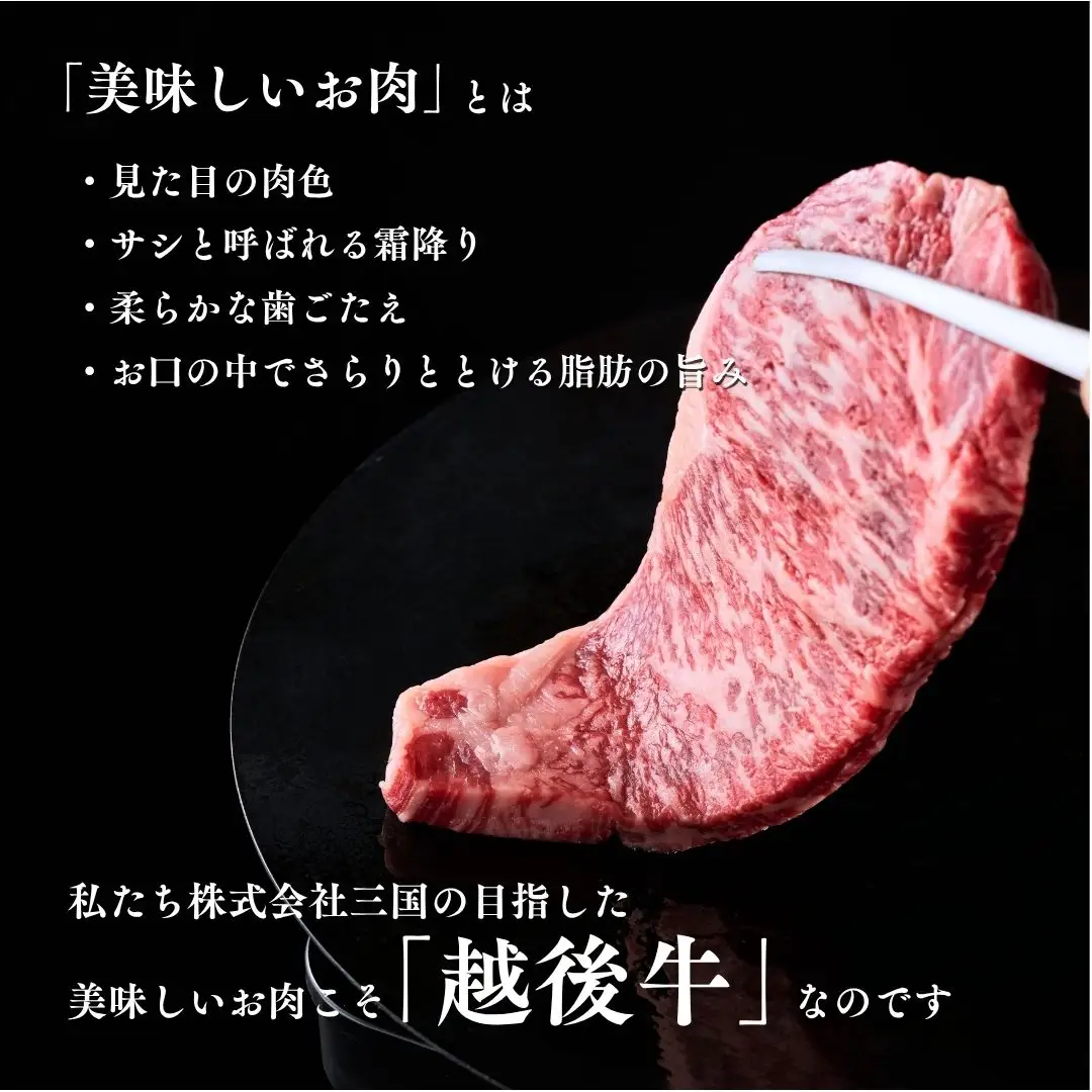 新潟 越後牛 3種  計700g 三国 | 冷凍 バラ肉 ロースステーキ ローススライス 新潟県 小千谷市