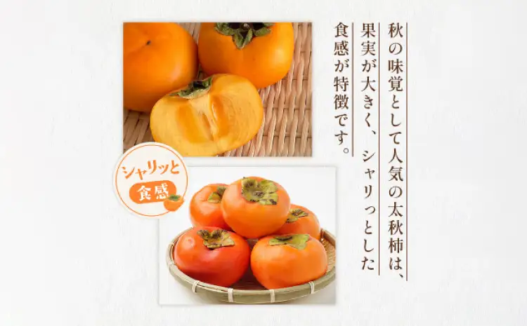 先行予約 柿 太秋柿 2kg くまふる宇城
