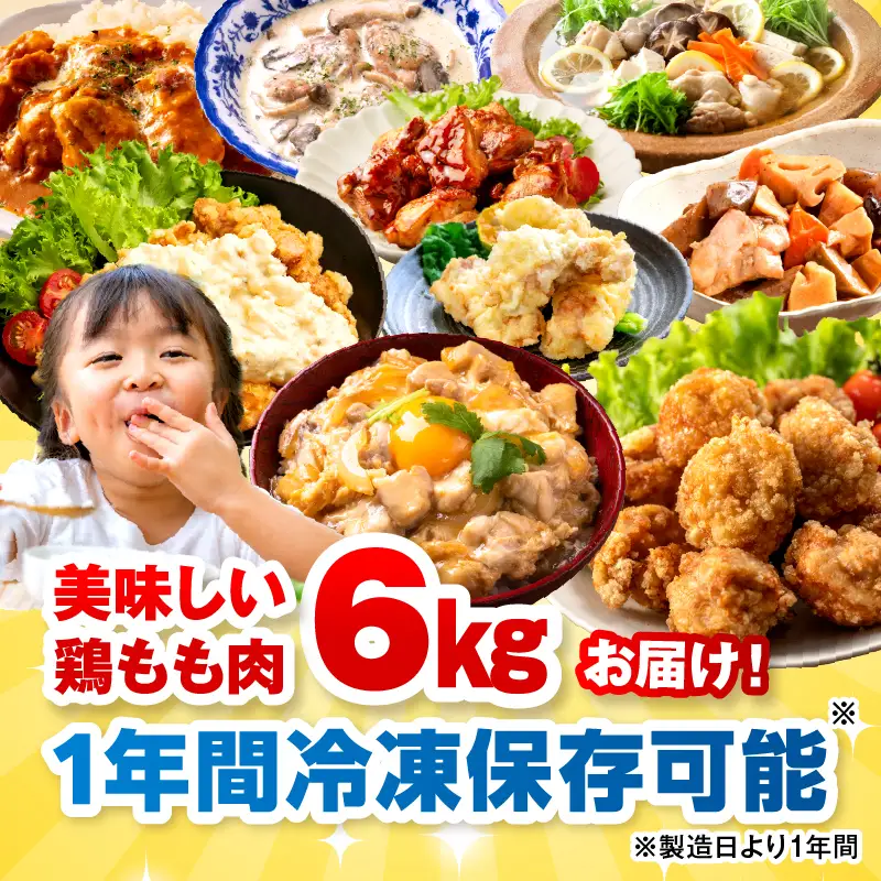 ＜2026年9月発送＞小分け＆パラパラ！宮崎県産鶏ももカット合計6kg_K043-003-2609