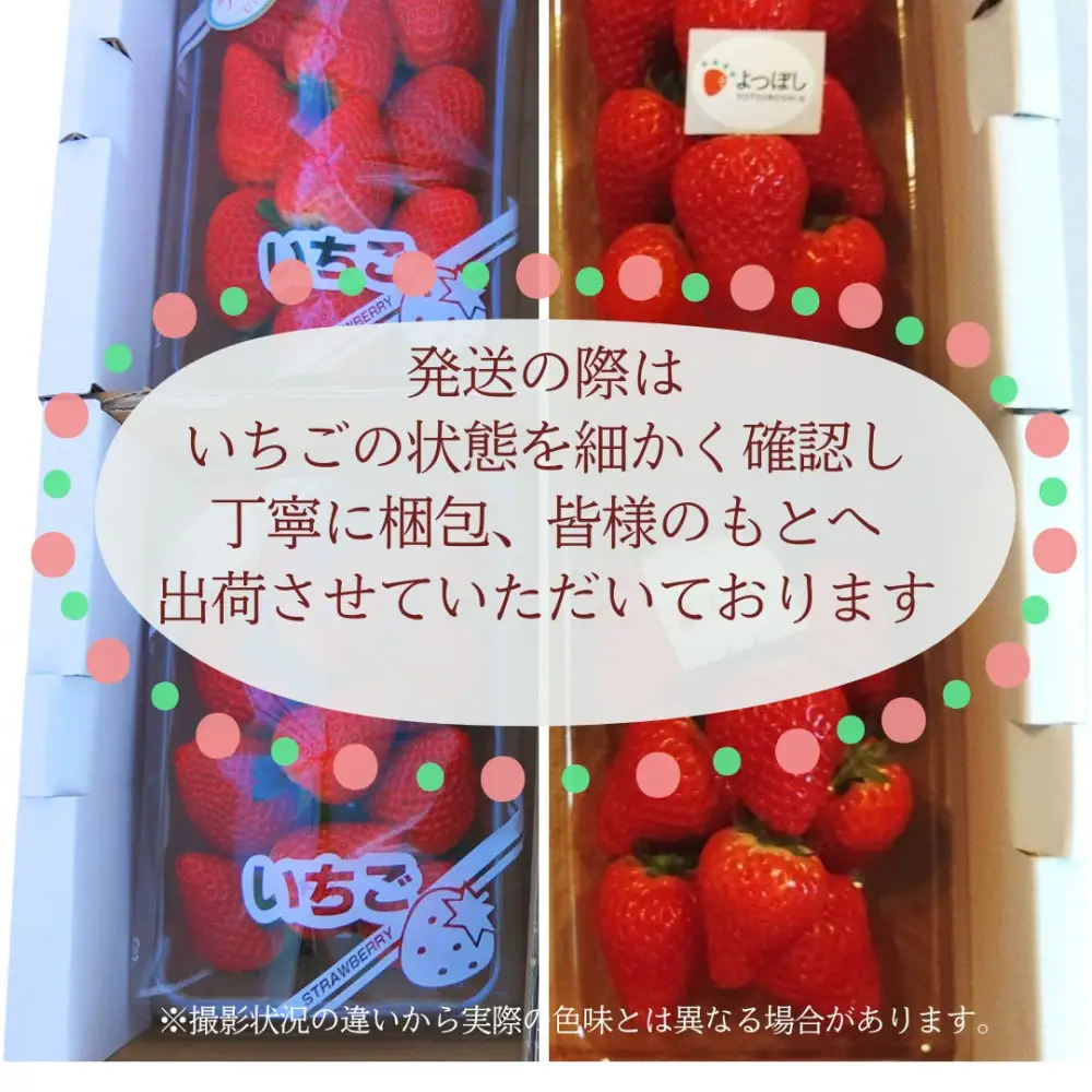 【先行予約！】2027年1月以降順次発送　食べ比べ「よつぼし」「うた乃」200ｇ×4パック