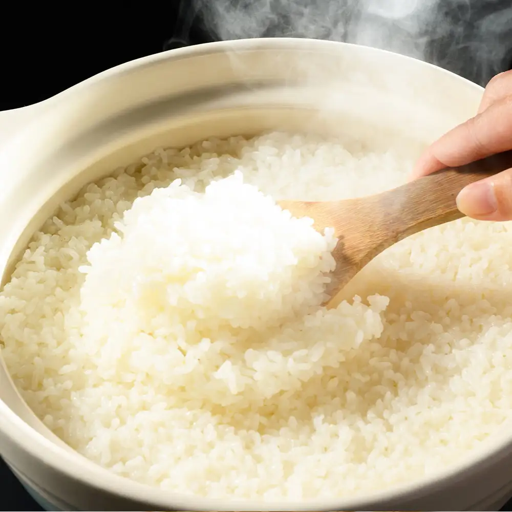 【先行予約】【令和8年産】茨城県産コシヒカリ 5kg ※2026年10月～発送 こしひかり 白米 精米
