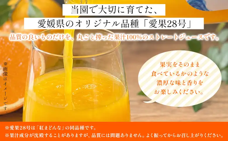 ＜紅まどんなジュース 720ml×2本＞『1か月以内に順次出荷予定』果汁100％ ストレート 紅マドンナ オリジナル品種 愛果28号 果物 フルーツ みかん ミカン 蜜柑 柑橘類 濃厚 飲料 ソフトドリンク 飲み物 果汁飲料 特産品 柑橘園柴田 愛媛県 西予市【常温】MKE0013